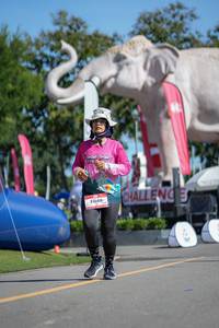 BIB: 
                            <button type="button" onclick="openModal(26545117)" class="btn btn-primary btn-sm float-right btn-popup" data-toggle="modal" data-target=".modal-high-quality">
                        <i class="fas fa-shopping-cart"></i> Add to Cart
                    </button>
                                            <button type="button" onclick="isThisMe(26545117, true)" class="btn btn-success btn-sm float-right btn-popup btn-isme hidden" data-toggle="tooltip" data-placement="bottom" title="นี่คือรูปของคุณใช่ไหม คลิกที่นี่เพื่อเอาเข้าอัลบั้ม">
                        <i class="fas fa-plus"></i> Add to album
                    </button>
                    <button type="button" onclick="isThisMe(26545117, false)" class="btn btn-warning btn-sm float-right btn-popup btn-isnotme hidden">
                        <i class="fas fa-ban"></i> Remove from album
                    </button>